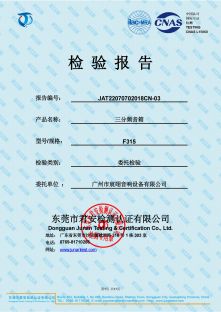 三分頻音箱檢測(cè)報(bào)告 (2)